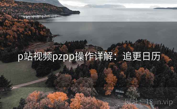 p站视频pzpp操作详解：追更日历