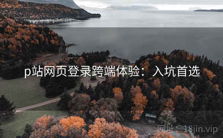 p站网页登录跨端体验：入坑首选