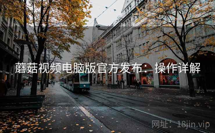 蘑菇视频电脑版官方发布：操作详解