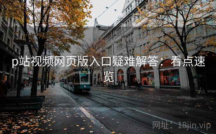 p站视频网页版入口疑难解答：看点速览